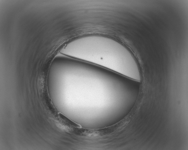 X0000078280113200611031027