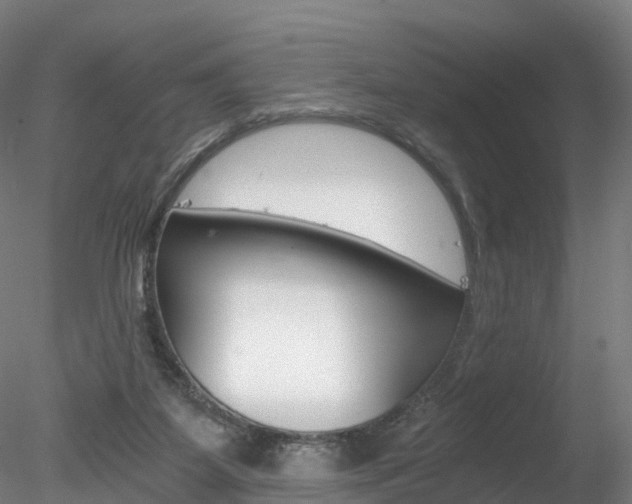 X0000078280115200611031026