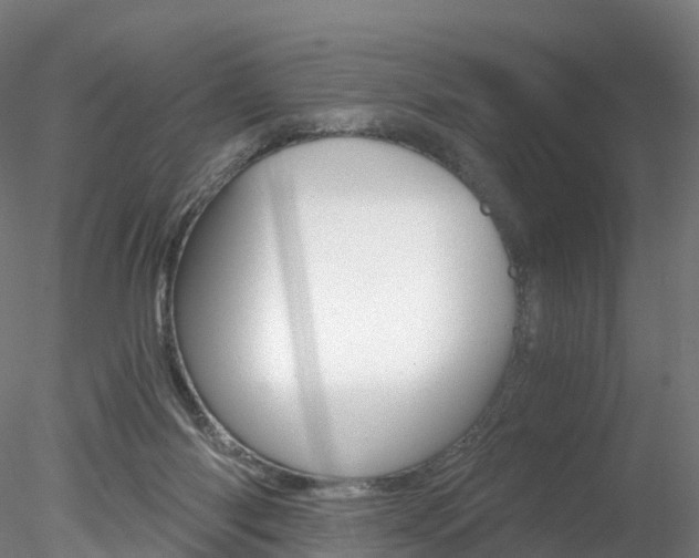 X0000078280118200611031026