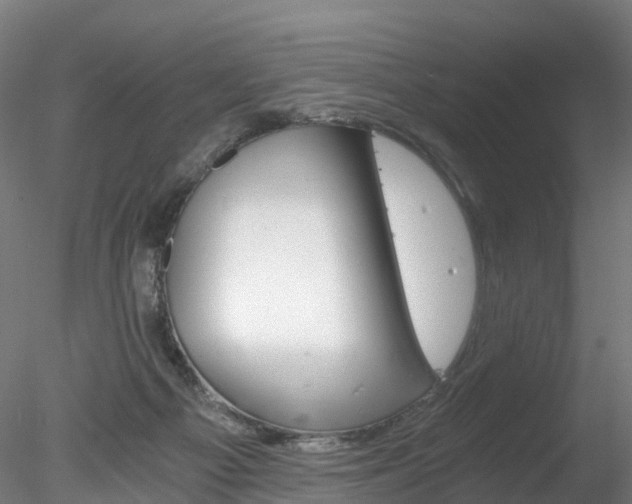 X0000078280121200611031026