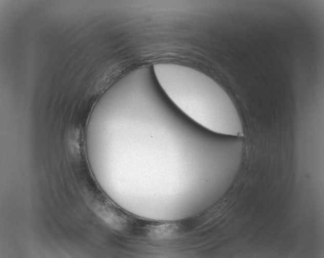 X0000078280122200611031026