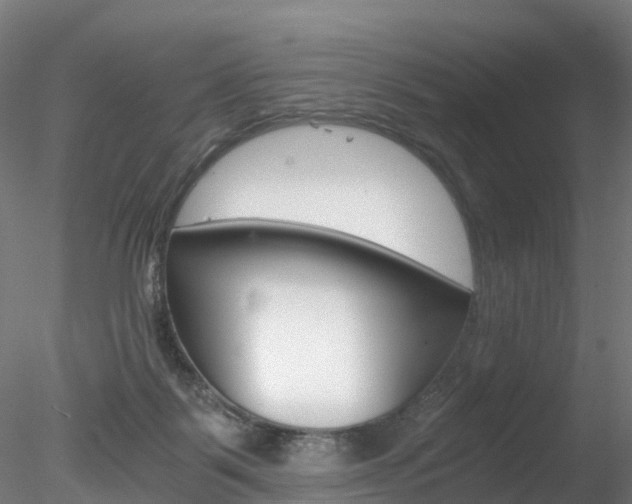 X0000078280123200611031026