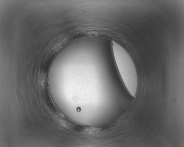 X0000078280125200611031026