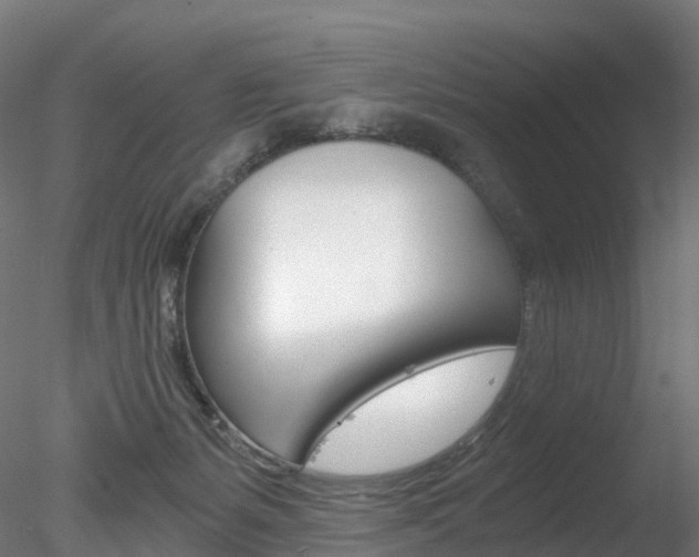 X0000078280127200611031026