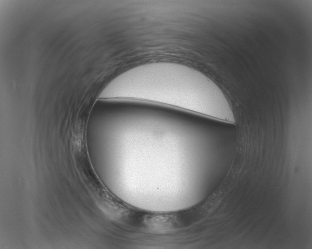 X0000078280129200611031026