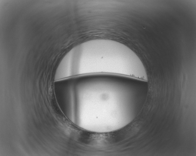 X0000078280131200611031026