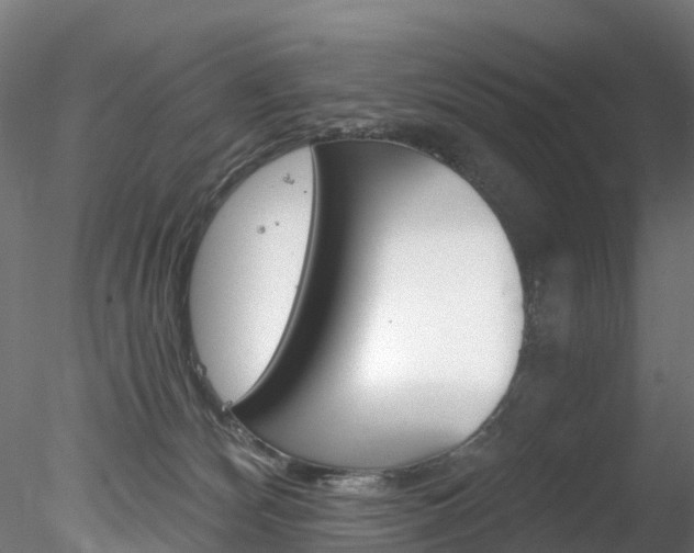 X0000078280132200611031026