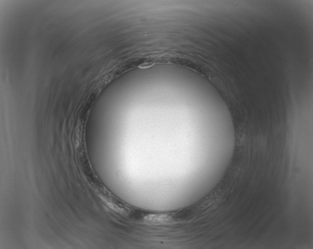 X0000078280133200611031026