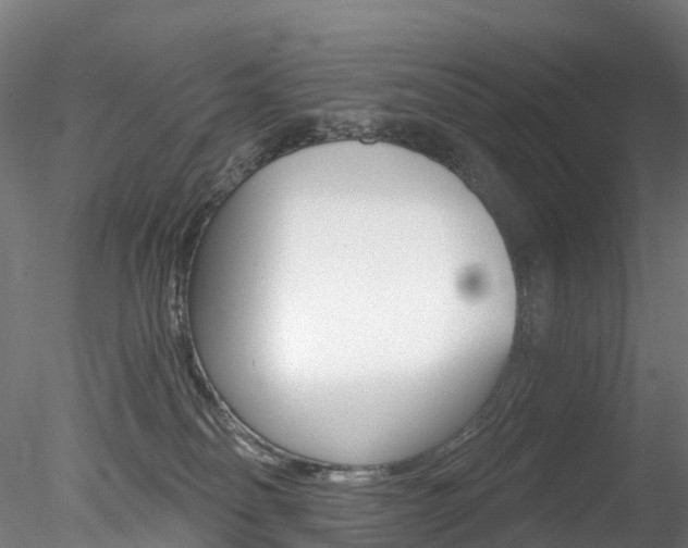 X0000078280134200611031026