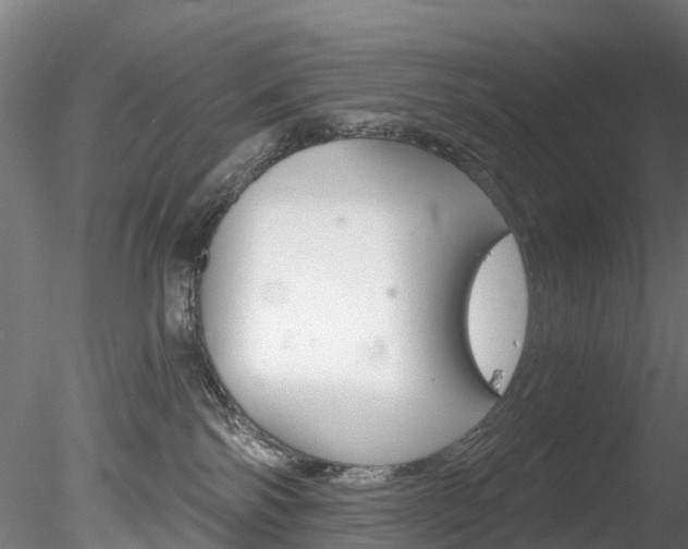 X0000078280138200611031026