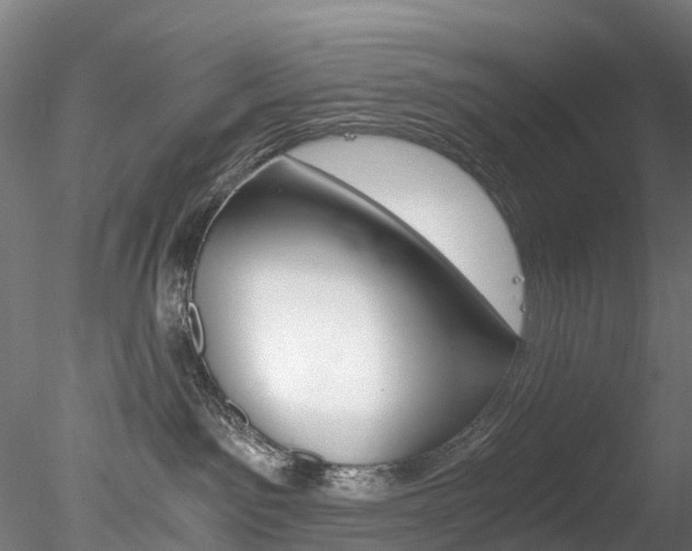 X0000078280141200611031026