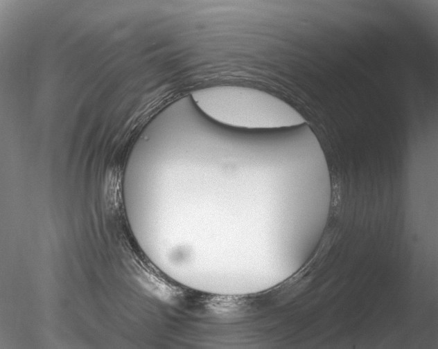 X0000078280142200611031026