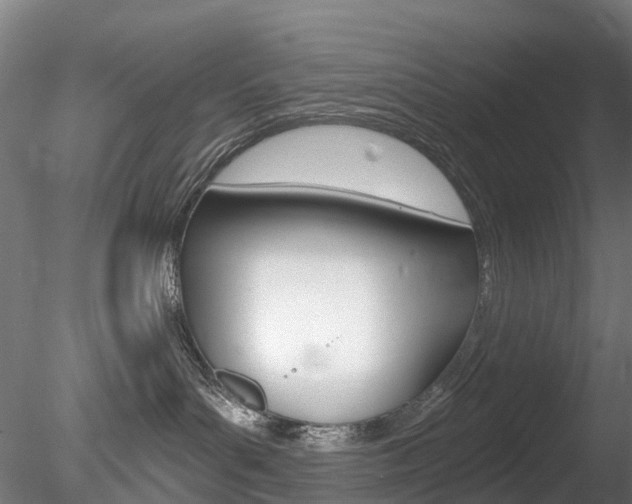 X0000078280143200611031026