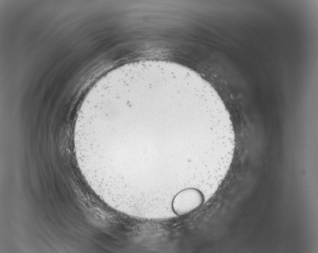 X0000078280146200611031025