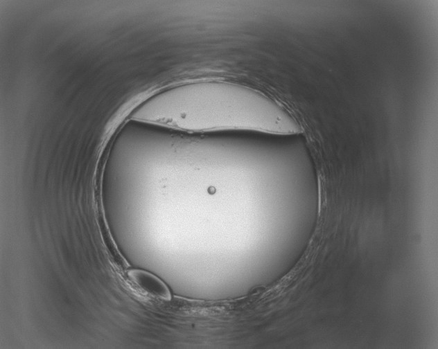 X0000078280147200611031025