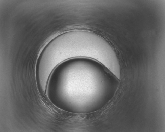 X0000078280148200611031025