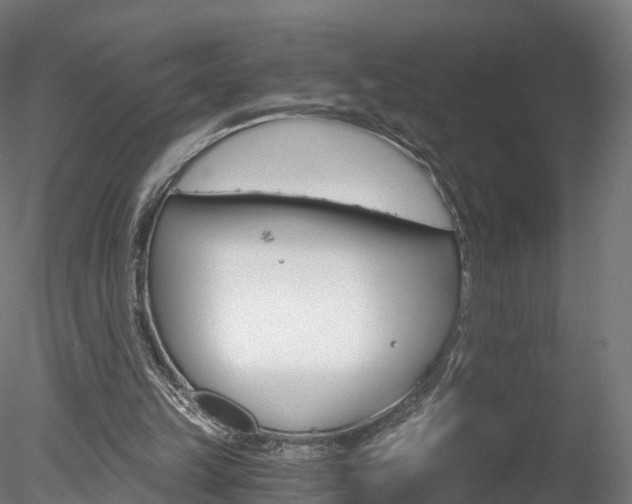 X0000078280149200611031025