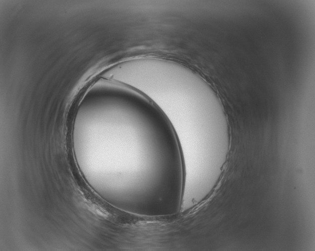 X0000078280150200611031025