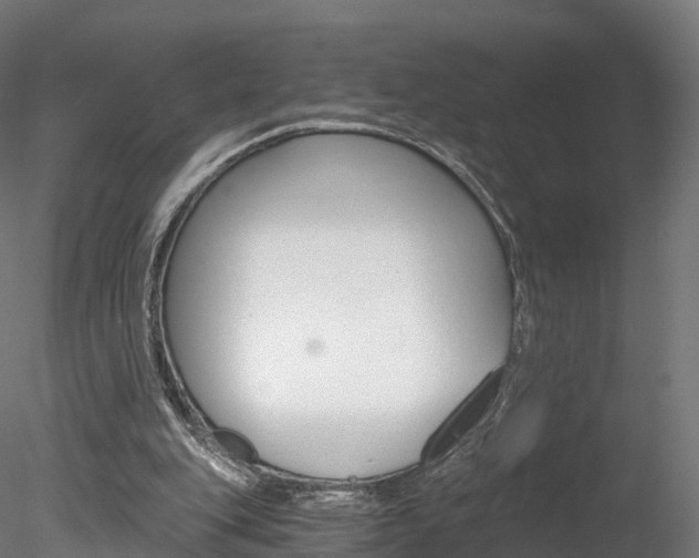 X0000078280151200611031025