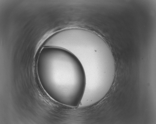 X0000078280152200611031025