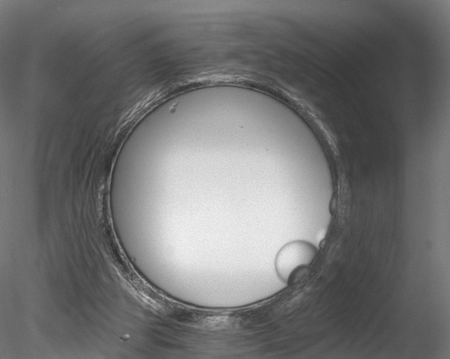 X0000078280153200611031025