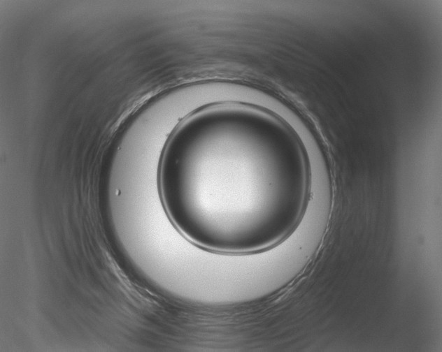 X0000078280154200611031025