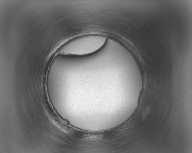 X0000078280155200611031025