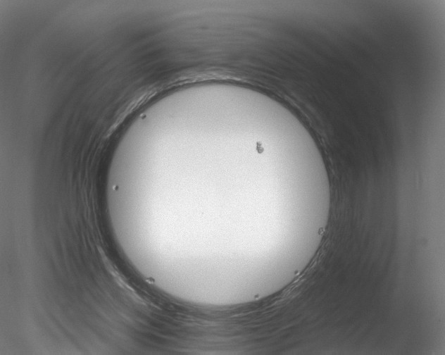 X0000078280158200611031025