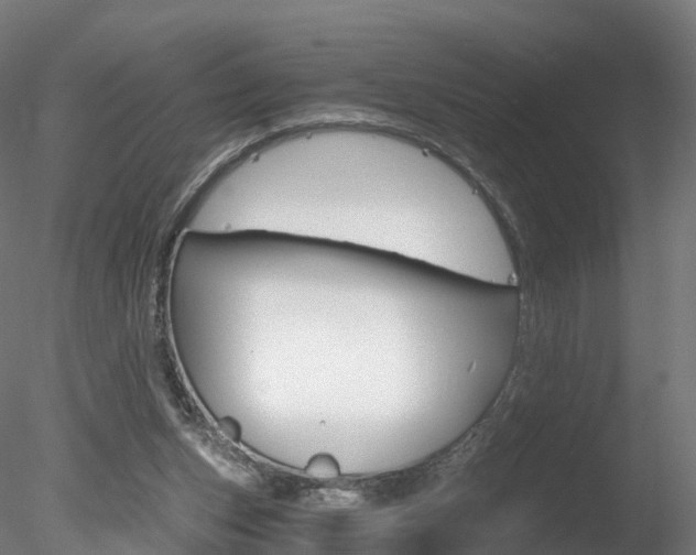 X0000078280159200611031025