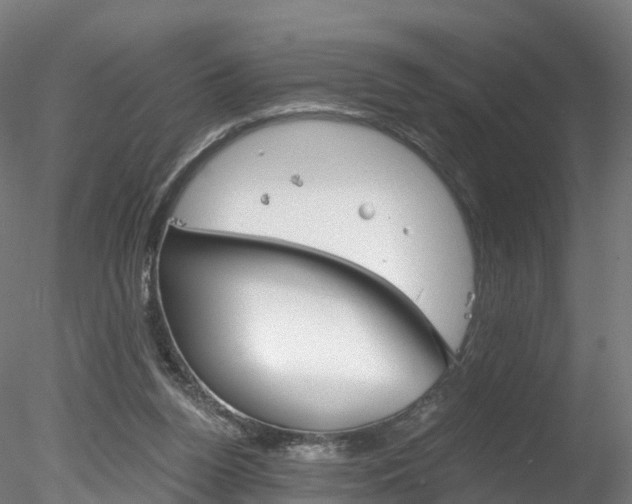 X0000078280160200611031025