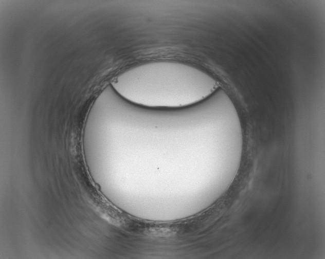 X0000078280161200611031025