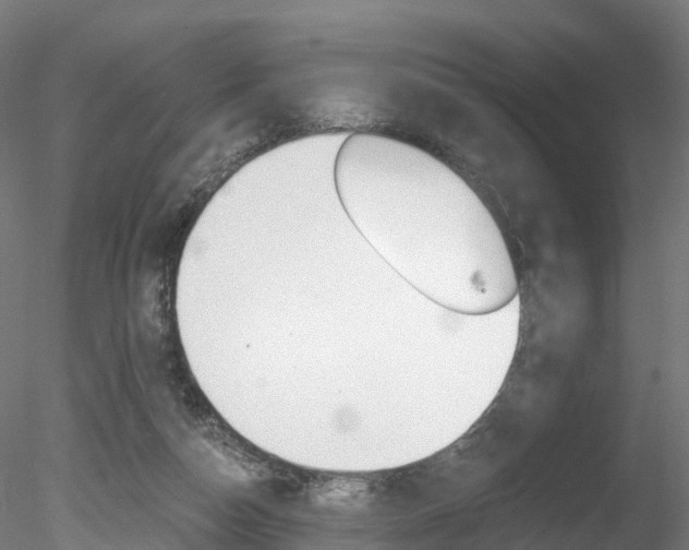 X0000078280162200611031025