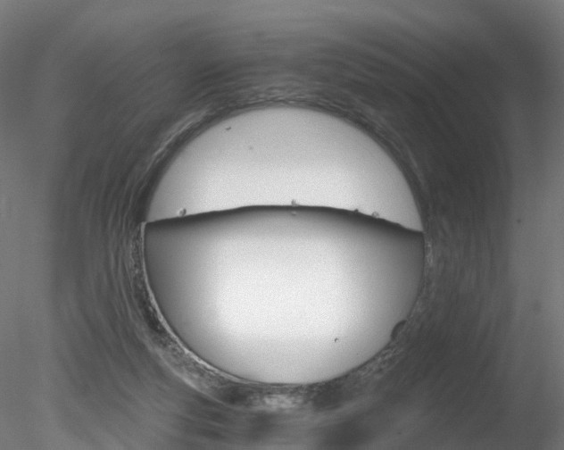 X0000078280163200611031025