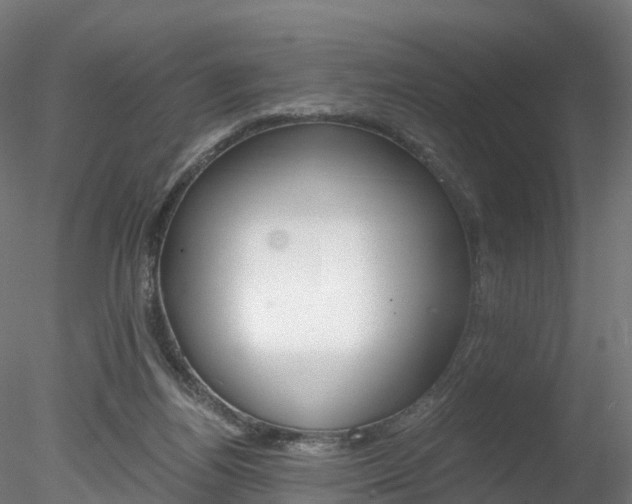 X0000078280164200611031026