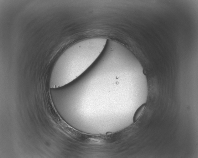 X0000078280167200611031026