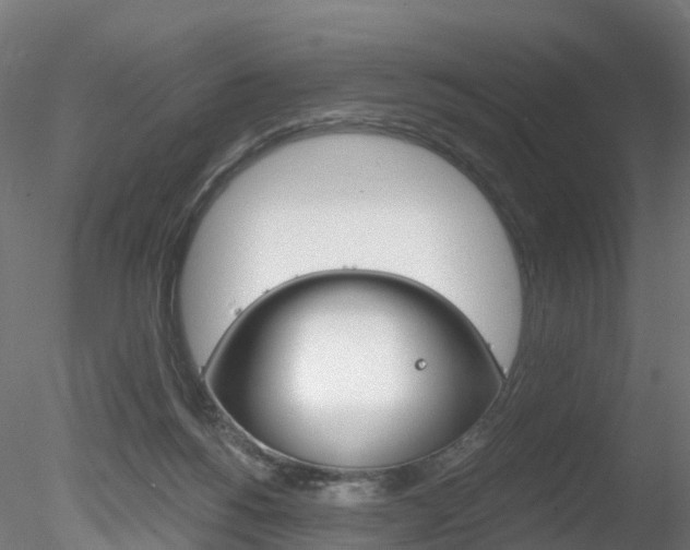 X0000078280168200611031026