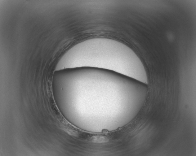 X0000078280169200611031026