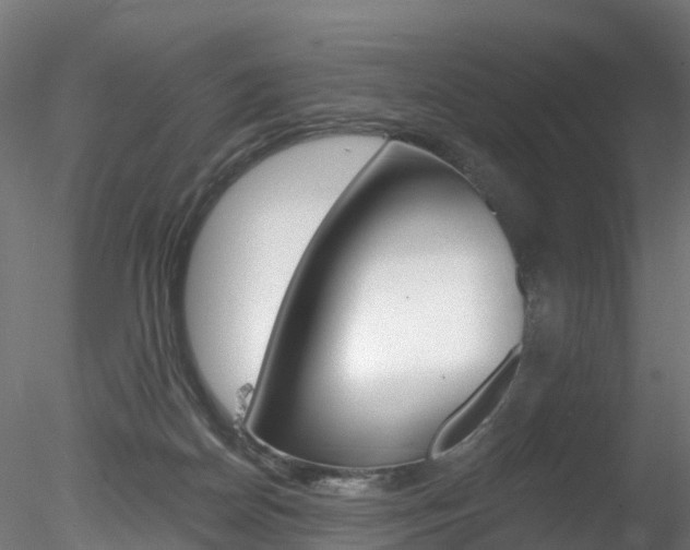 X0000078280170200611031026