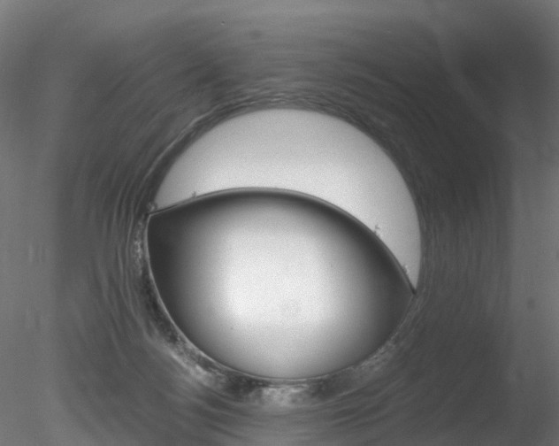 X0000078280172200611031026