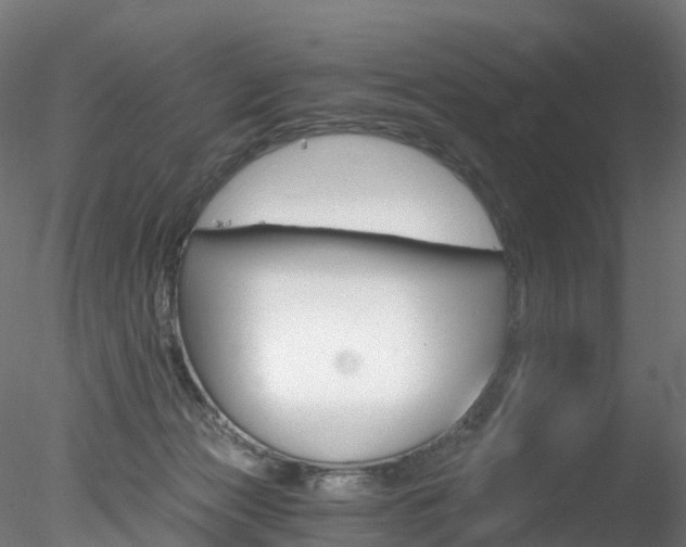 X0000078280173200611031026