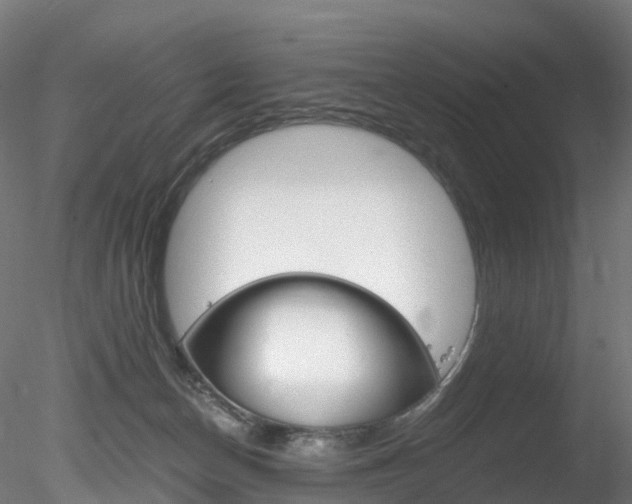 X0000078280174200611031026