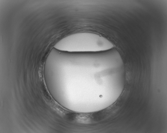 X0000078280175200611031026