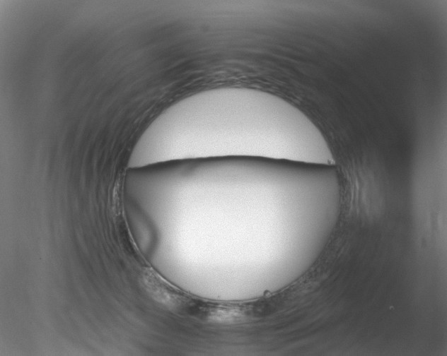 X0000078280177200611031026