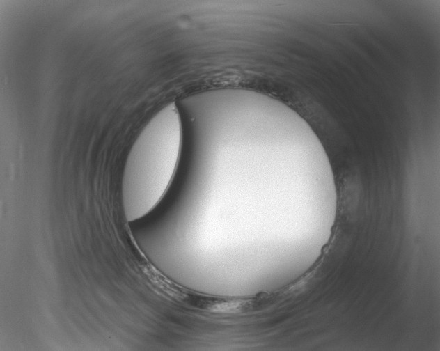 X0000078280178200611031026