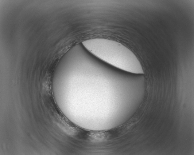 X0000078280181200611031026