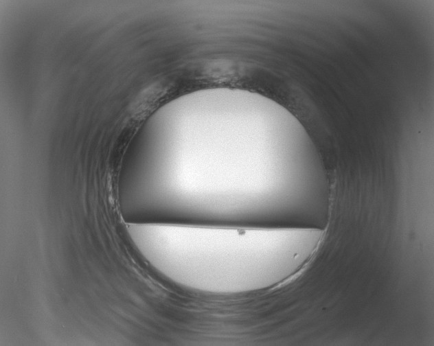 X0000078280182200611031026