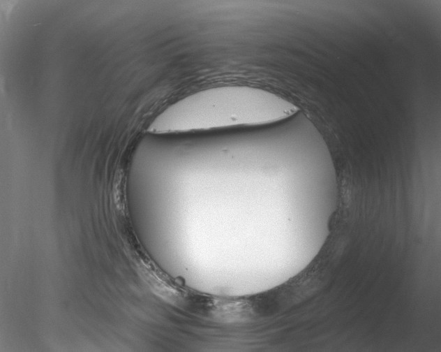 X0000078280185200611031026