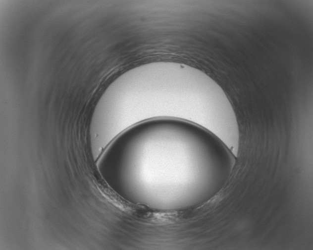 X0000078280188200611031026