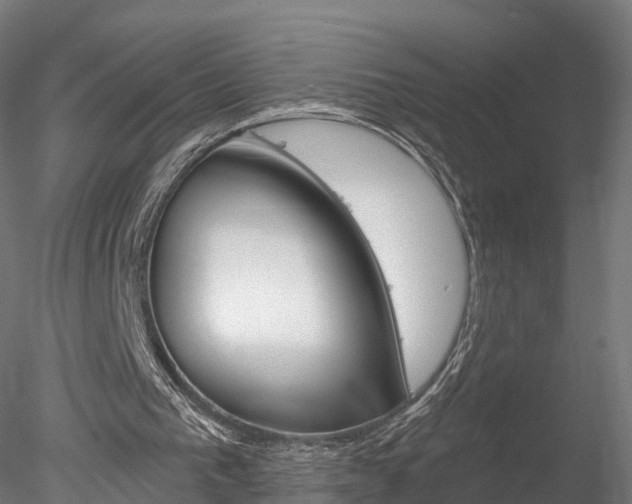 X0000078280193200611031025