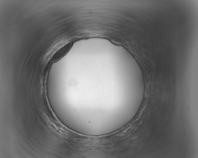 X0000078280194200611031025